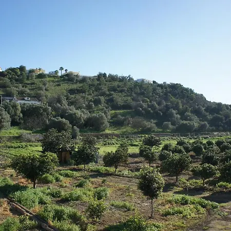 Horta Grande 2*